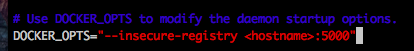 docker-opts.png