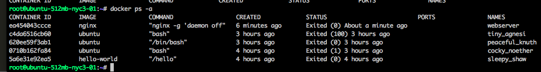 docker ps a.png