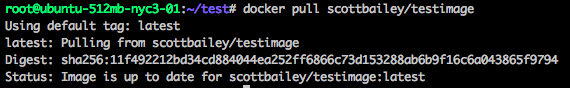 docker-pull.png